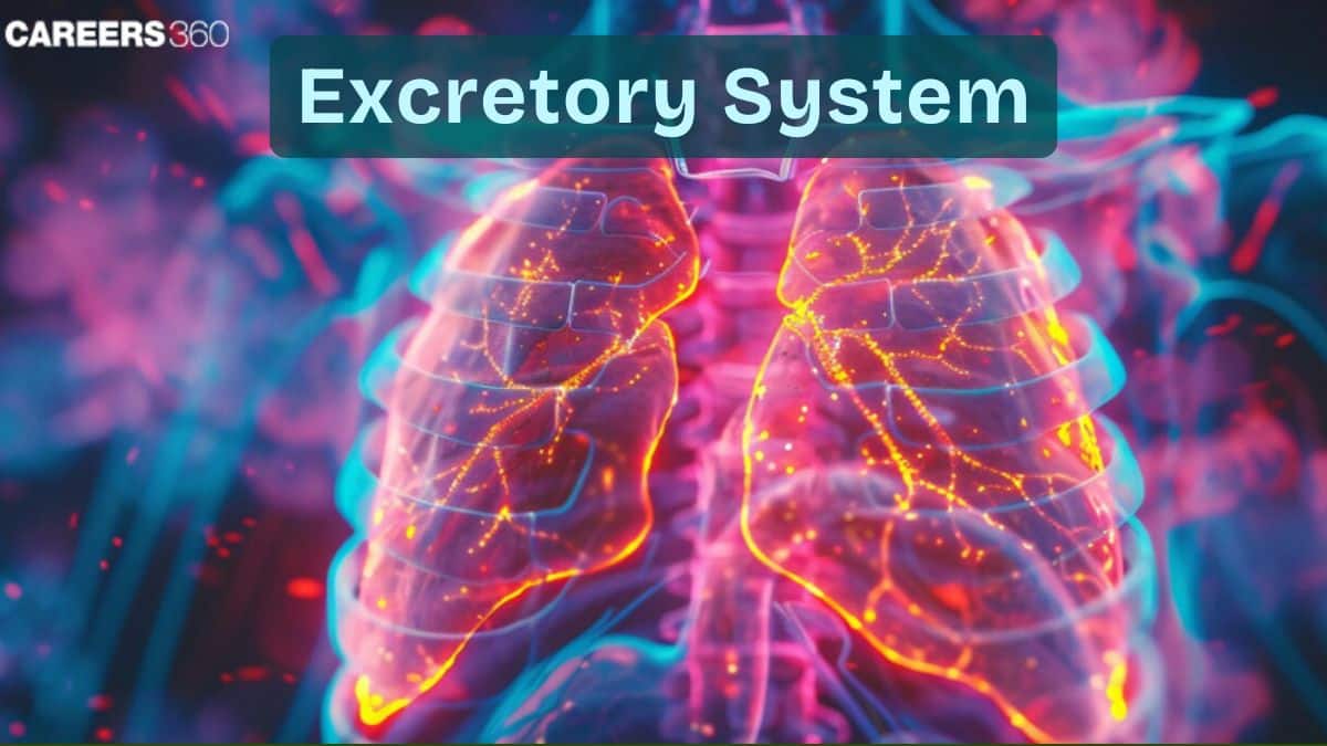 Excretory System: Excretory Organs And Types Of Wastes In Animals